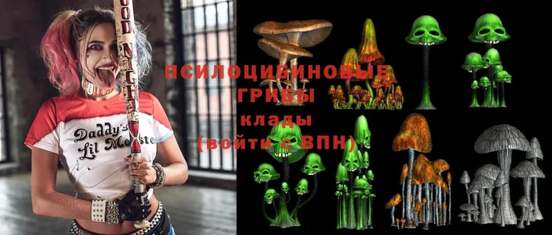 Галлюциногенные грибы MAGIC MUSHROOMS  купить наркотики сайты  Миллерово 